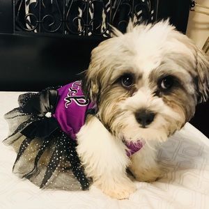 Meet your Posher, Alfredo